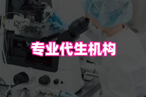 乐乐助孕网 2