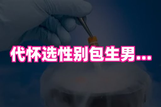 乐乐助孕网 3