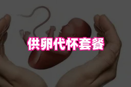 乐乐助孕网 4